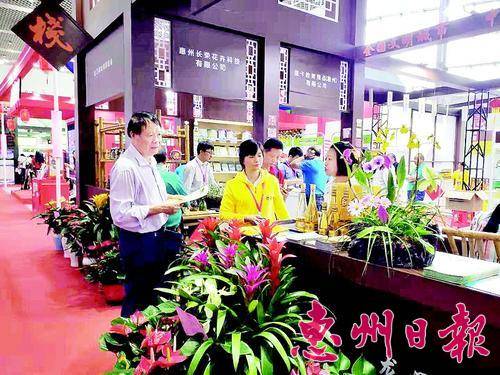  台博会龙门展区前摆满了台资企业带来的花卉产品。
