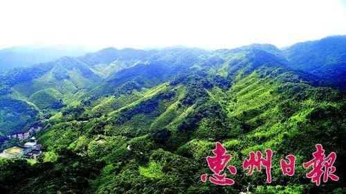 南昆山生态资源丰富，是天然大氧吧。 本报记者李松权 摄