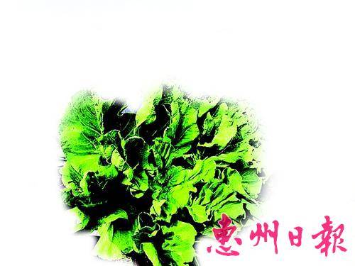 梅菜。本报采集