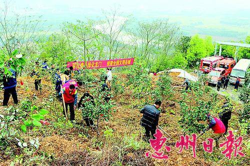 党员干部、群众和志愿者在县城塔山公园义务植树。
