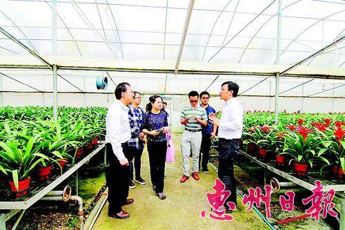 中青班学员到蓝田一花卉基地调研学习。
 本报记者黄宇翔 特约通讯员黄伟光 摄
