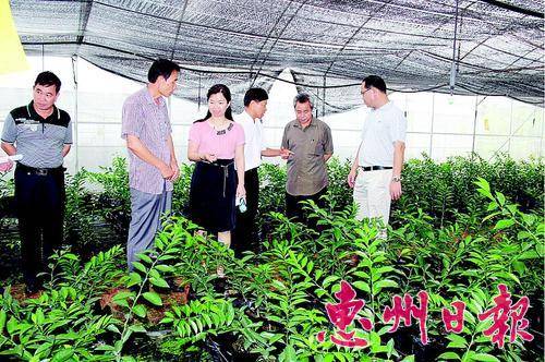  观摩会现场。
