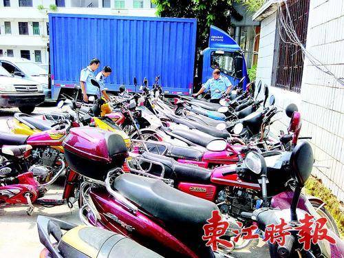  龙门警方缴获的偷盗摩托车。
 《东江时报》记者侯县军 蔡伟健 摄
