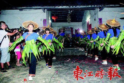 16位少女腰部和手臂用藤条捆上黄姜叶。
