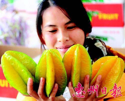  ▲工人准备把新鲜的杨桃打包装。