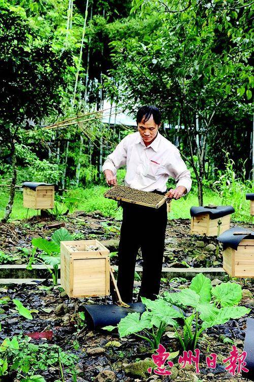  龙潭镇合头村拓展养蜂产业，帮助贫困户脱贫。

