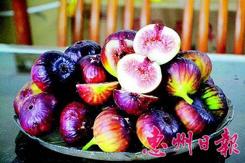 新鲜无花果十分惹人爱。

