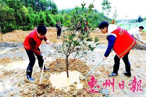  志愿者在省道119线县城至龙华段的公路两旁植树。 本报记者黄宇翔 特约通讯员黄伟光 摄 