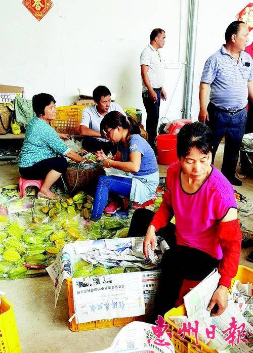  ▲果农们正将杨桃入箱。
 本报记者黄宇翔 特约通讯员黄伟光 摄
