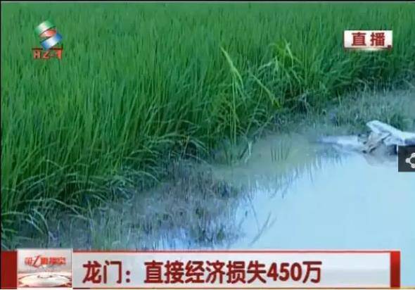 暴雨后 龙门县直接经济损达450万元 ！