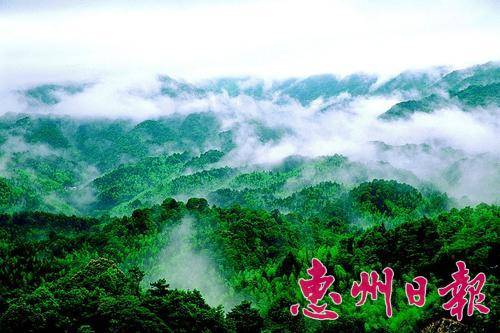 南昆山上云雾缭绕，风光秀丽。 
