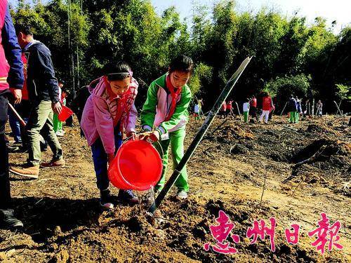  龙门县组织党员干部、学生代表和志愿者种植竹子。 本报记者黄宇翔通讯员刘浩 摄